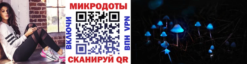 дарнет шоп  Рославль  Псилоцибиновые грибы мухоморы 